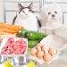 Cooking for Your Pets