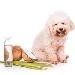 Is Coconut Oil Good for Pets?